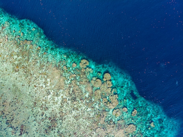 Tropisches karibisches meer des luft-korallenriffs der draufsicht unten, türkisblaues wasser. indonesien molukken-archipel, banda-inseln, pulau hatta. topreiseziel, bestes tauchen, schnorcheln. Premium Fotos