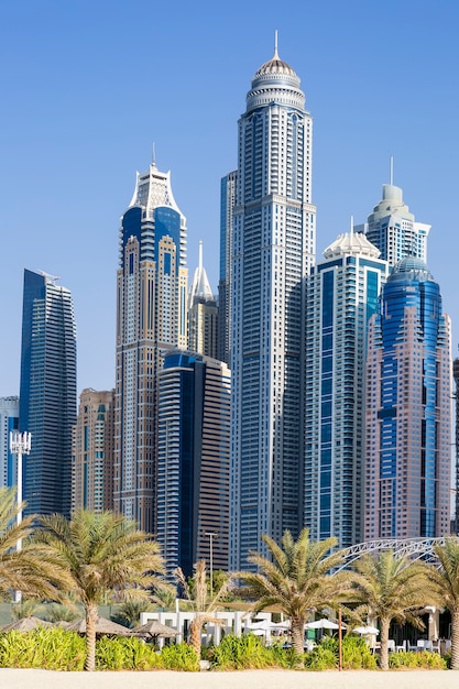 Vertikale Ansicht Von Wolkenkratzern Und Palmen In Dubai Vae Kostenlose Foto