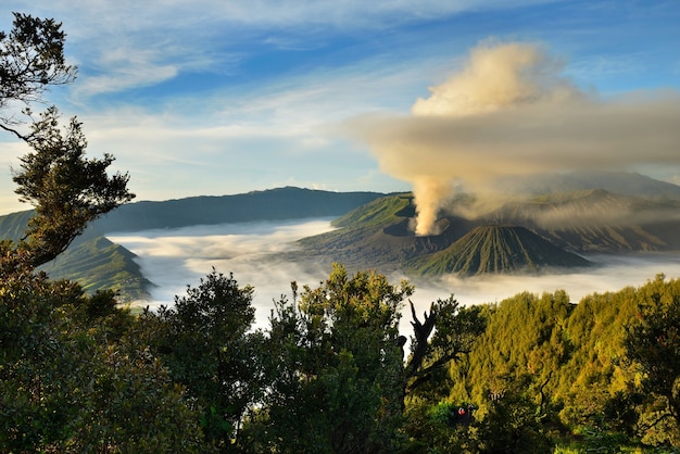  Vulkan  bromo eruption nationalpark tengger semeru  