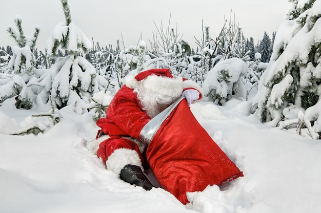 Weihnachtsmann mit seinem sack | Kostenlose Foto