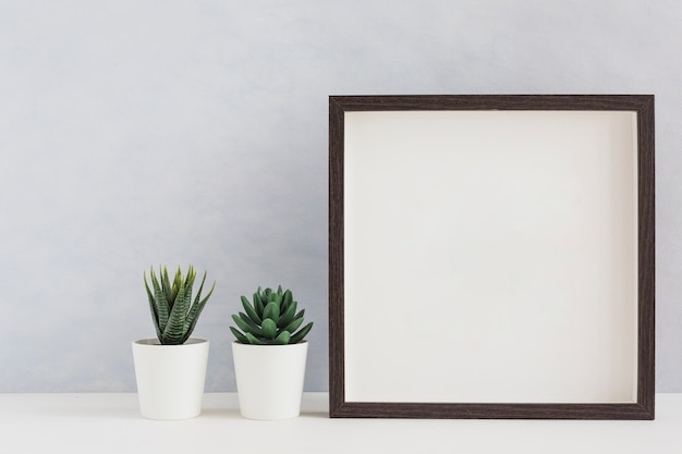 Weiße eingemachte kaktuspflanze zwei mit leerem weißem fotorahmen auf schreibtisch gegen wand Kostenlose Fotos