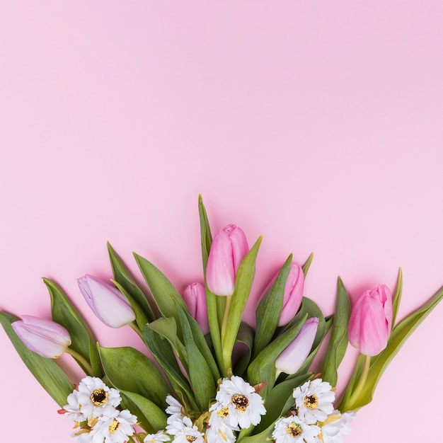 Weisse Und Rosafarbene Blumen Kostenlose Foto