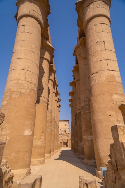 Wertvolle Saulen Mit Alten Agyptischen Zeichnungen Im Luxor Tempel Agypten Premium Foto