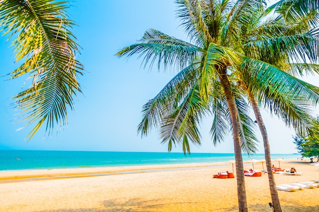 Wunderschone Palme Am Strand Kostenlose Foto