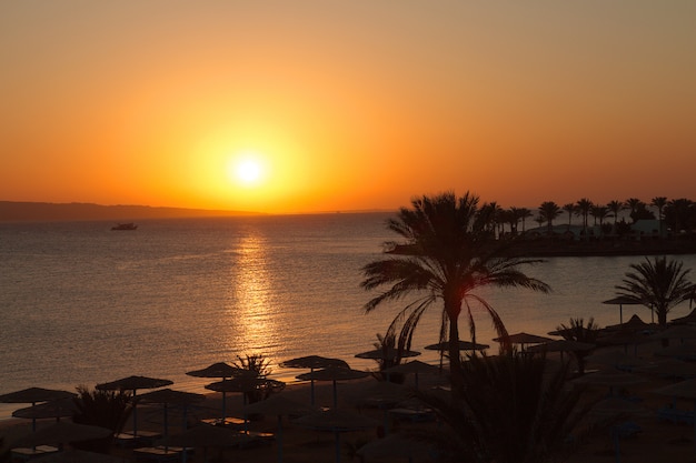 Wunderschonen Sonnenaufgang In Agypten Am Strand Premium Foto