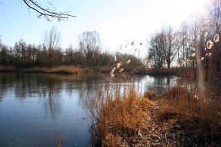 36+ Teich Zufrieren, Tipps und tricks helfen ihnen, den teich eisfrei