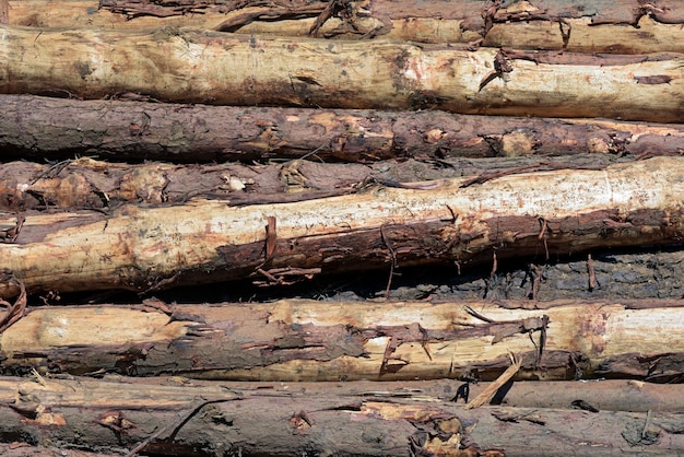 Zusammensetzung mit stapel von hölzernen stämmen im nahaufnahmehintergrund Premium Fotos