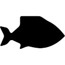 Big Fish Icons | Free Download