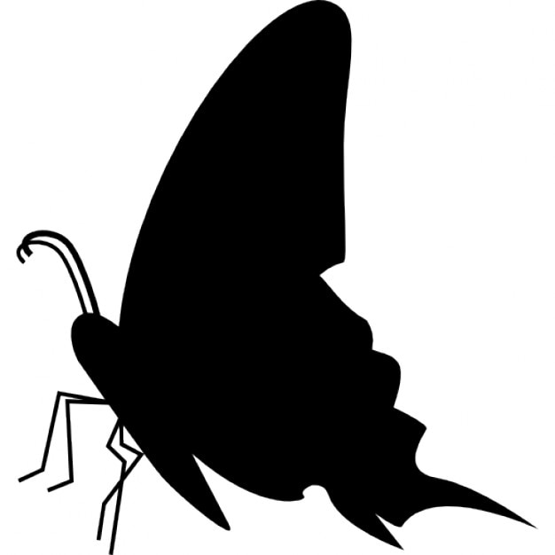 Free Free 67 Svg Side View Butterfly Silhouette SVG PNG EPS DXF File