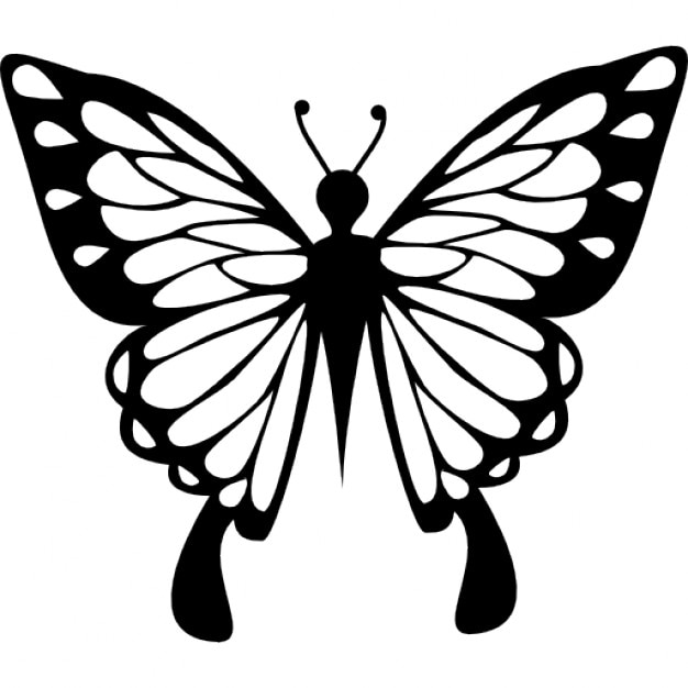 Download Butterfly with delicate wings from top view Icons | Free ...