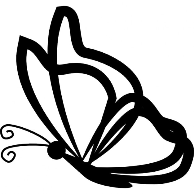 Download Butterfly with transparent wings outlines from side view ...