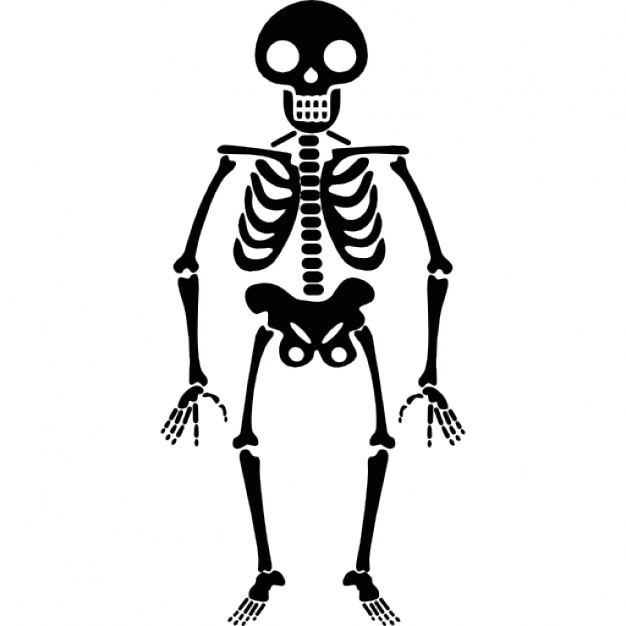 Halloween Skeleton Halloween skeleton Free Icon