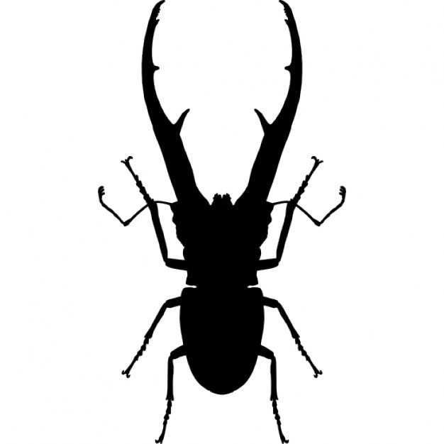 Insect chalcosoma beetle shape Icons | Free Download