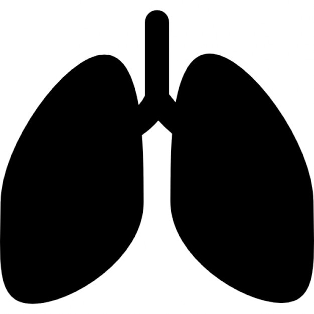 lungs clipart vector - photo #39