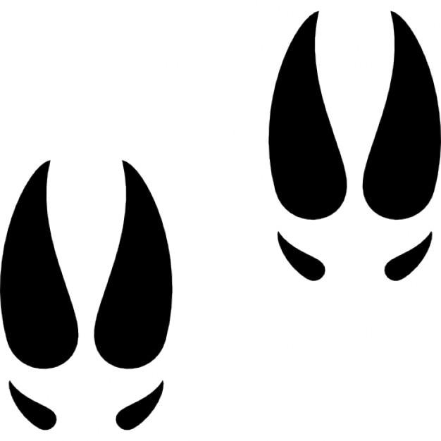 Moose footprints Icons | Free Download