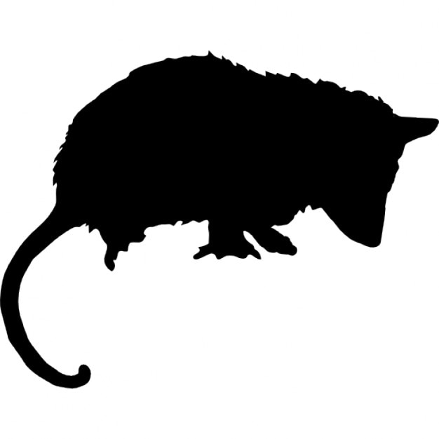Download Opossum mammal animal silhouette Icons | Free Download