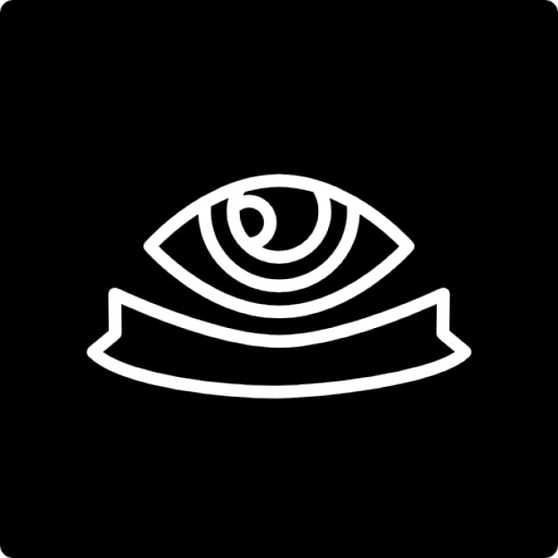 Surveillance logo of an eye in a square Icons | Free Download