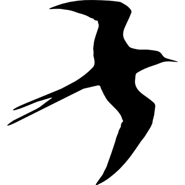 swallow-bird-flying-silhouette_318-62997