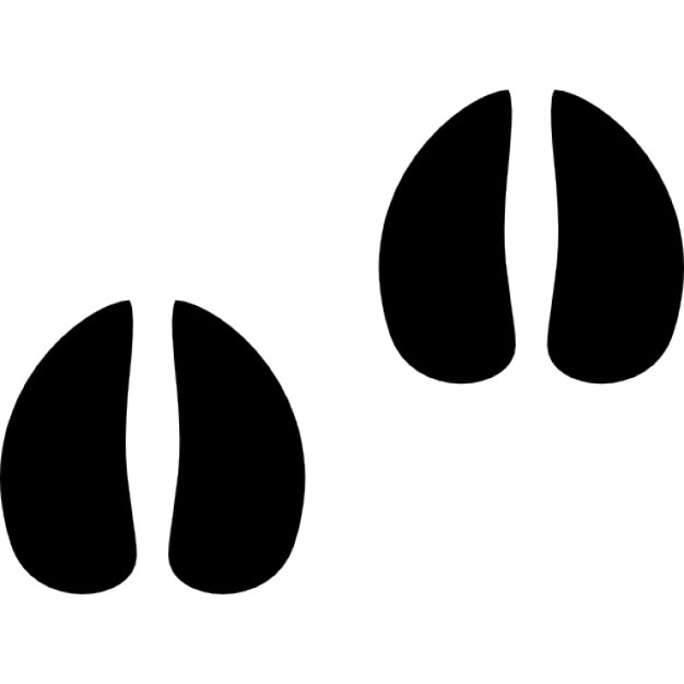 White-tailed deer footprints Icons | Free Download