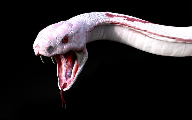 3d-albino-king-cobra-snake-the-world-s-longest-venomous-premium-photo