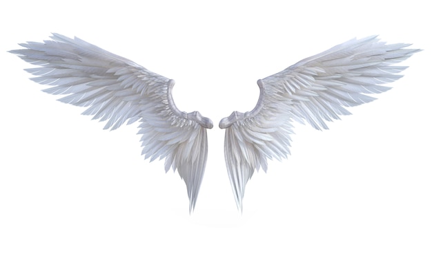 3d Illustration Angel Wings, White Wing Plumage Isolate on White Background Premium Photo