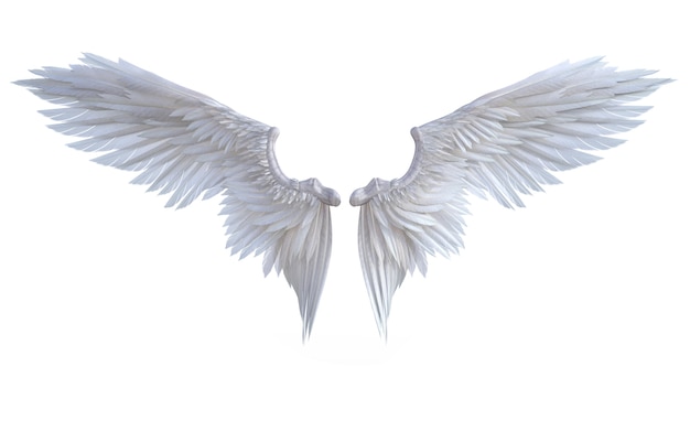 Download 3d illustration angel wings, white wing plumage isolate on ...