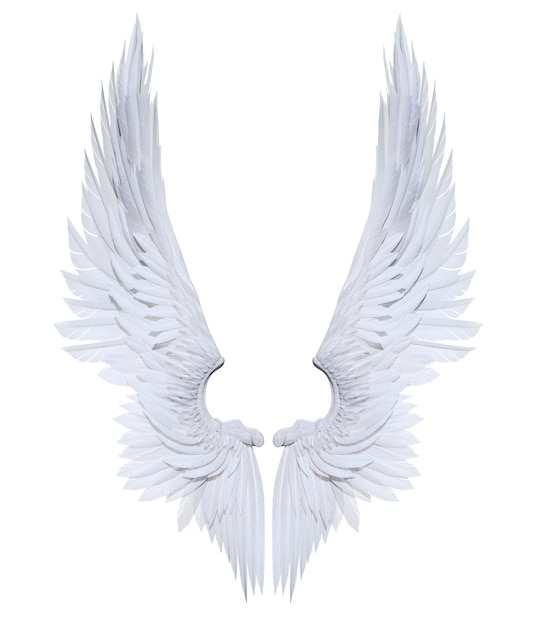 3dイラスト天使の羽 白い羽の羽毛は 白い背景に プレミアム写真
