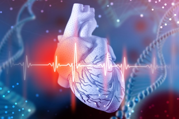 3d illustration of human heart and cardiogram. digital technologies in medicine Premium Photo
