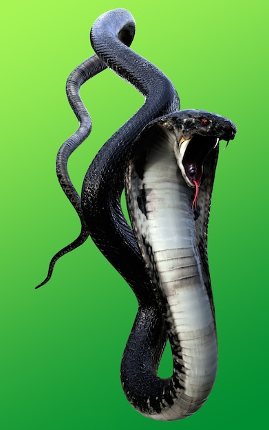 Premium Photo | 3d King Cobra Black Snake The World's Longest Venomous ...