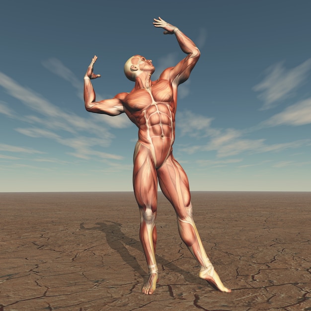 不自然な風景の中の筋肉マップを持つ3d男性ボディビルダー 無料の写真