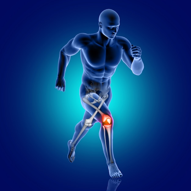 3d male medical figure running with knee bone highlighted Free Photo