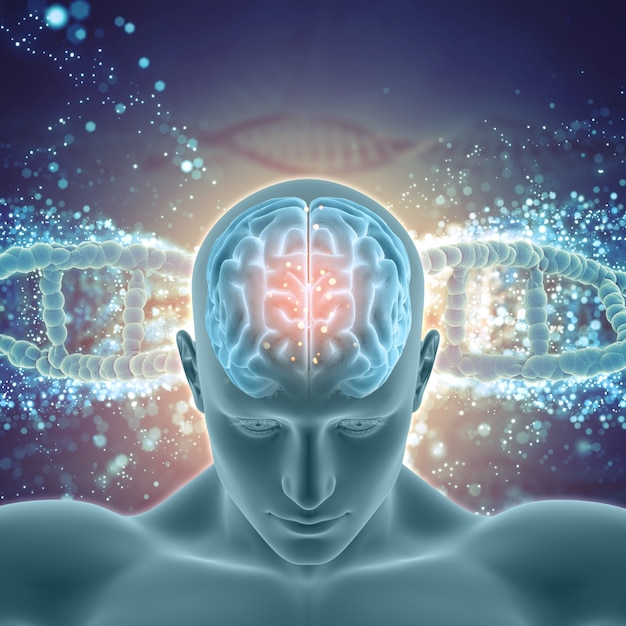 3d medical background with male figure with brain highlighted on dna  strands | Premium Photo