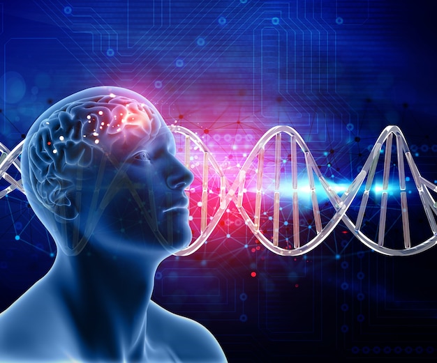 3d medical background with male head and brain on dna strands Free Photo