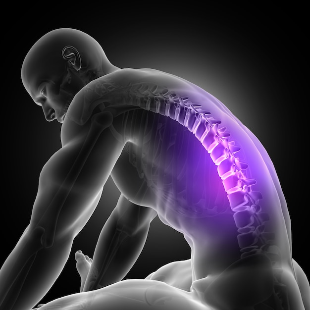 3d render of a male figure leaning over with spine highlighted Free Photo 3d render of a male figure leaning over with spine highlighted Free Photo