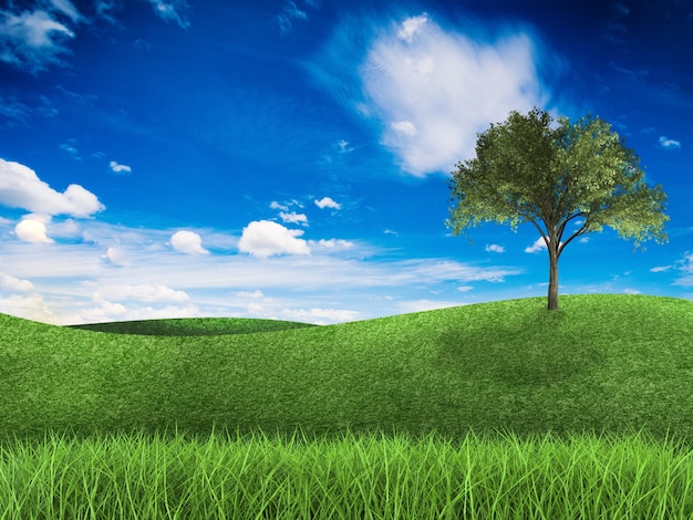 Premium Photo | 3d rendering green field and blue sky with tree