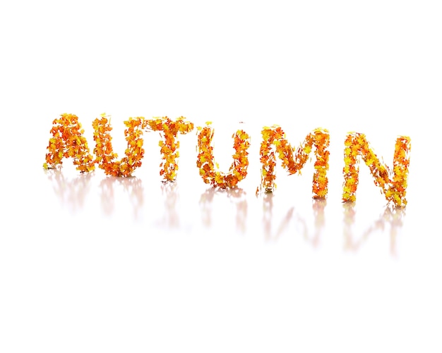 Premium Photo | 3d word autumn written with leaves.