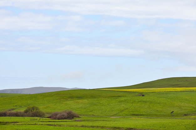北カリフォルニアのなだらかな緑の丘 無料の写真