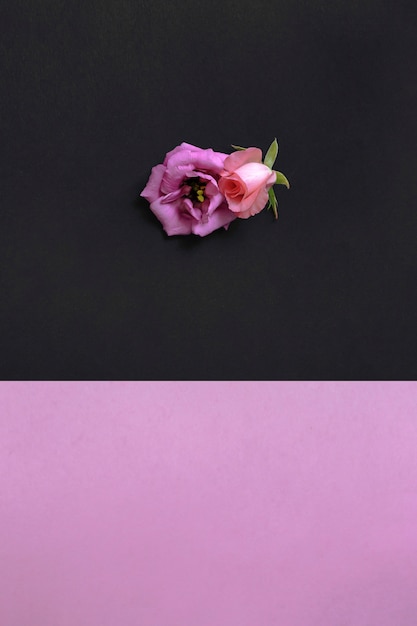 ピンクと黒の壁紙に美しい花の高いアングルビュー 無料の写真