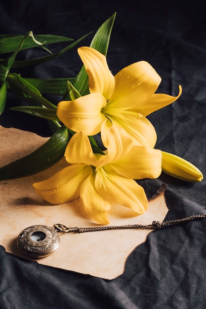 ペーパークラフトと古い懐中時計の近く露に美しい新鮮な黄色の花