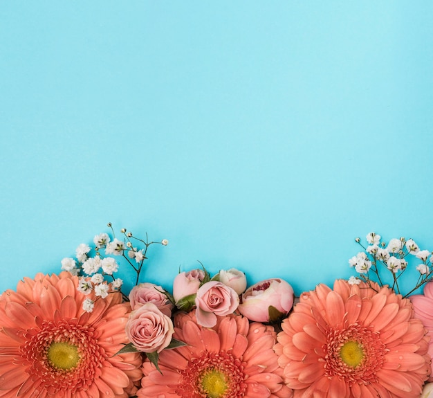 コピースペース春ガーベラの花 無料の写真