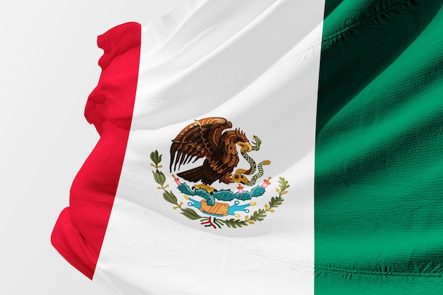 メキシコの国旗を描いた、現実的なメキシコの国旗を描いた
