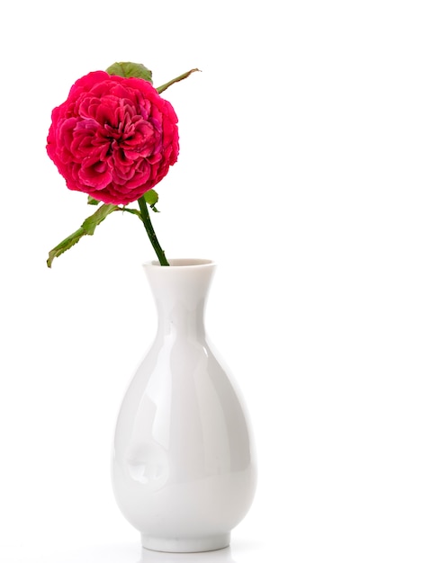 MEISSEN - アウガルテン マリアテレジア 花瓶 薔薇 ローズ 丸い形の+