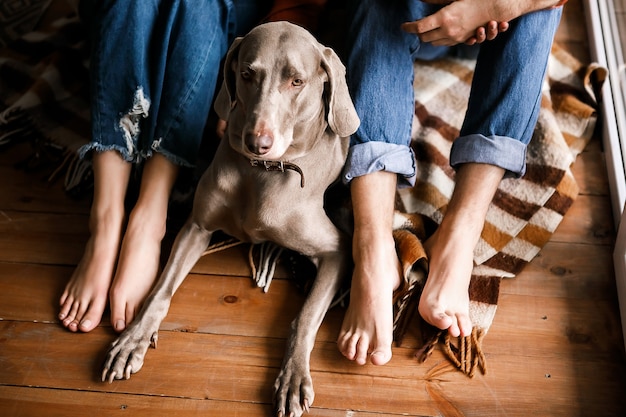 飼い主の足元の床に美しい犬が横たわっている 飼い主の足の近くの床に横たわっている手入れの行き届いた大型犬の上面図 プレミアム写真