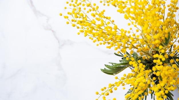 黄色のミモザの花の花束は 大理石の背景にセラミックの花瓶に立っています プレミアム写真