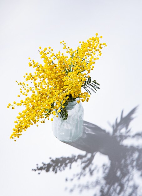 黄色のミモザの花の花束は 白い背景の上の影とガラスの花瓶に立っています プレミアム写真