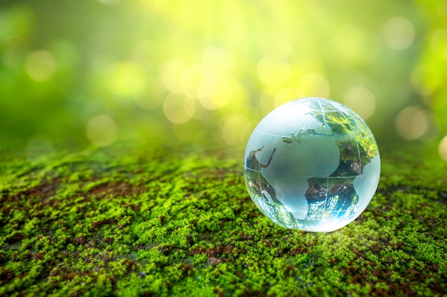 ガラスの地球を持つ男コンセプトデー地球世界を救う環境を救う世界は緑のボケ背景の草の中にいます プレミアム写真