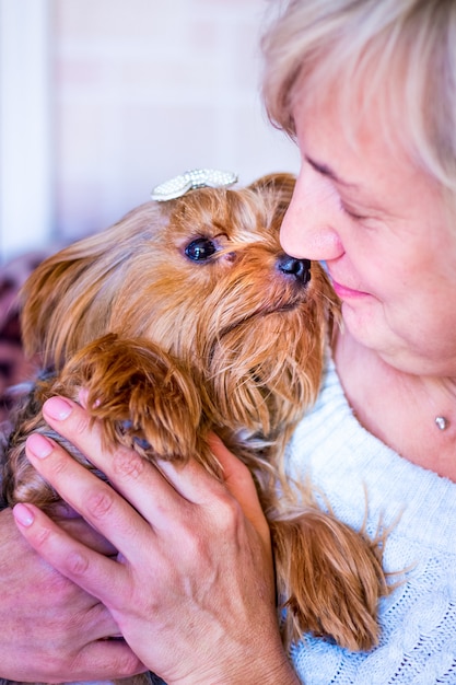 ヨークシャーテリアの品種の犬を腕に抱える女性 プレミアム写真