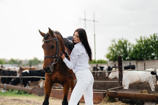 牧場のサラブレッド種馬の近くでポーズをとる若いかわいい女の子ライダー 乗馬 競馬 プレミアム写真