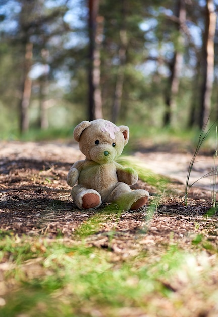 Abandoned brown teddy bear sitting in the middle of the forest Premium Photo