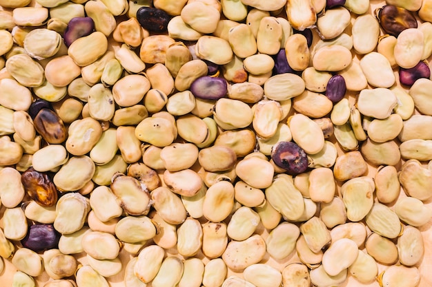 Abstract background of beans | Free Photo